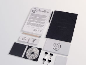 商務(wù)VI品牌模板與辦公用品樣機素材全解析