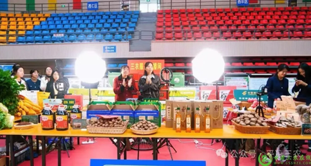 科技賦能 豐收盛典——中國(guó)農(nóng)民豐收節(jié)平?jīng)鱿盗袘c?；顒?dòng)精彩紛呈