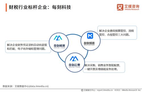 2021上半年中國(guó)財(cái)稅企業(yè)服務(wù)行業(yè)研究報(bào)告 信息咨詢服務(wù)的新趨勢(shì)與機(jī)遇