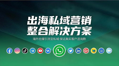 海外社媒代運(yùn)營(yíng)性價(jià)比深度分析 如何為您的企業(yè)挑選合適的優(yōu)質(zhì)服務(wù)